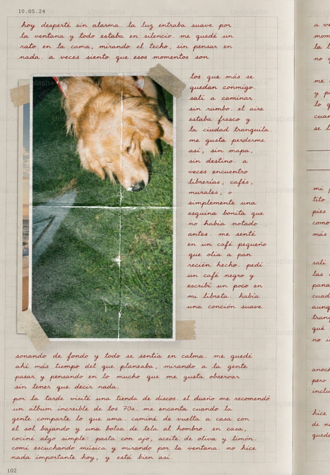 Como o DALL·E transforma palavras em imagens e muda seu jeito de criar
