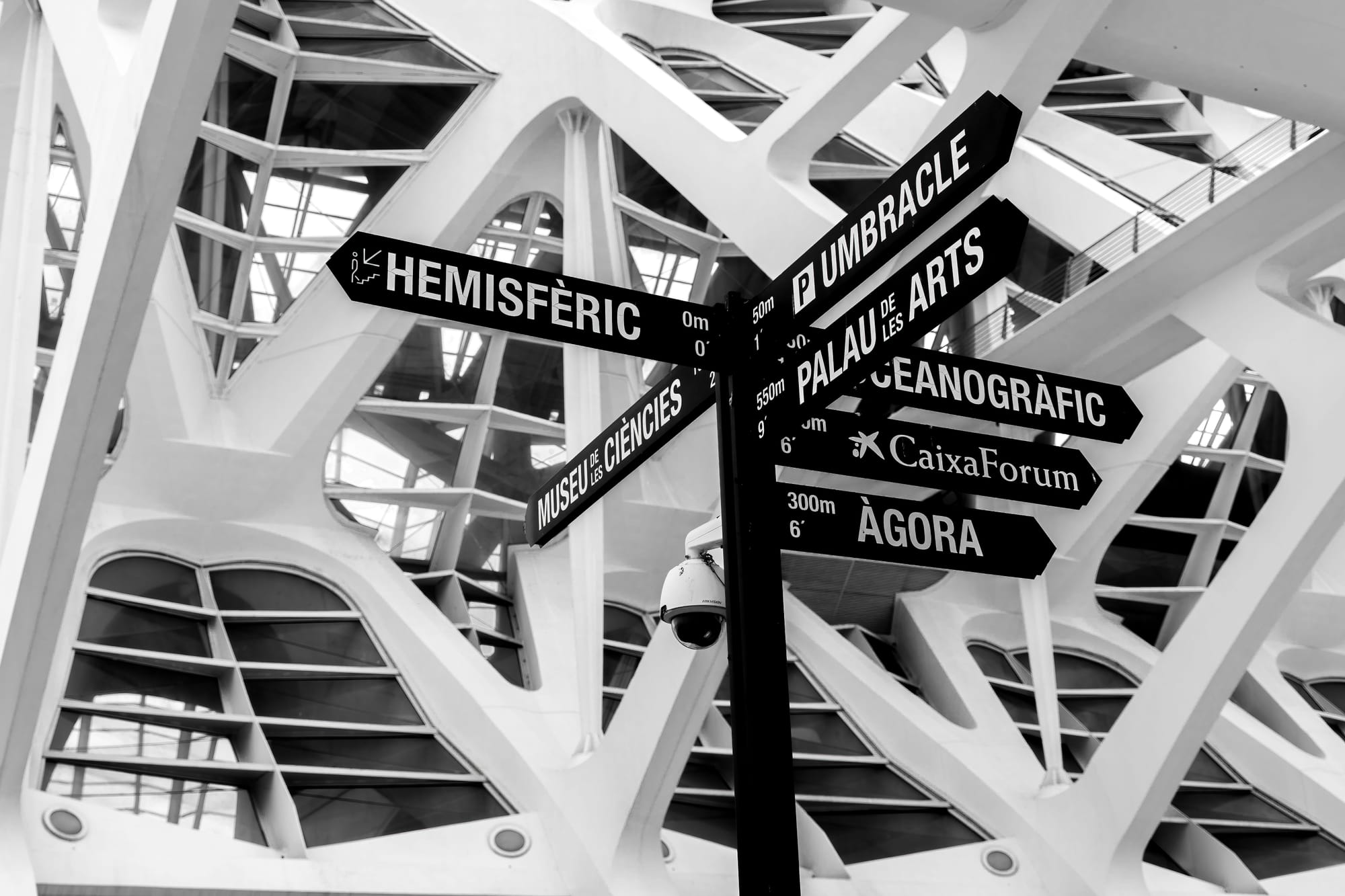 IA ganha medalha de ouro em matemática: e agora, o que nos resta?