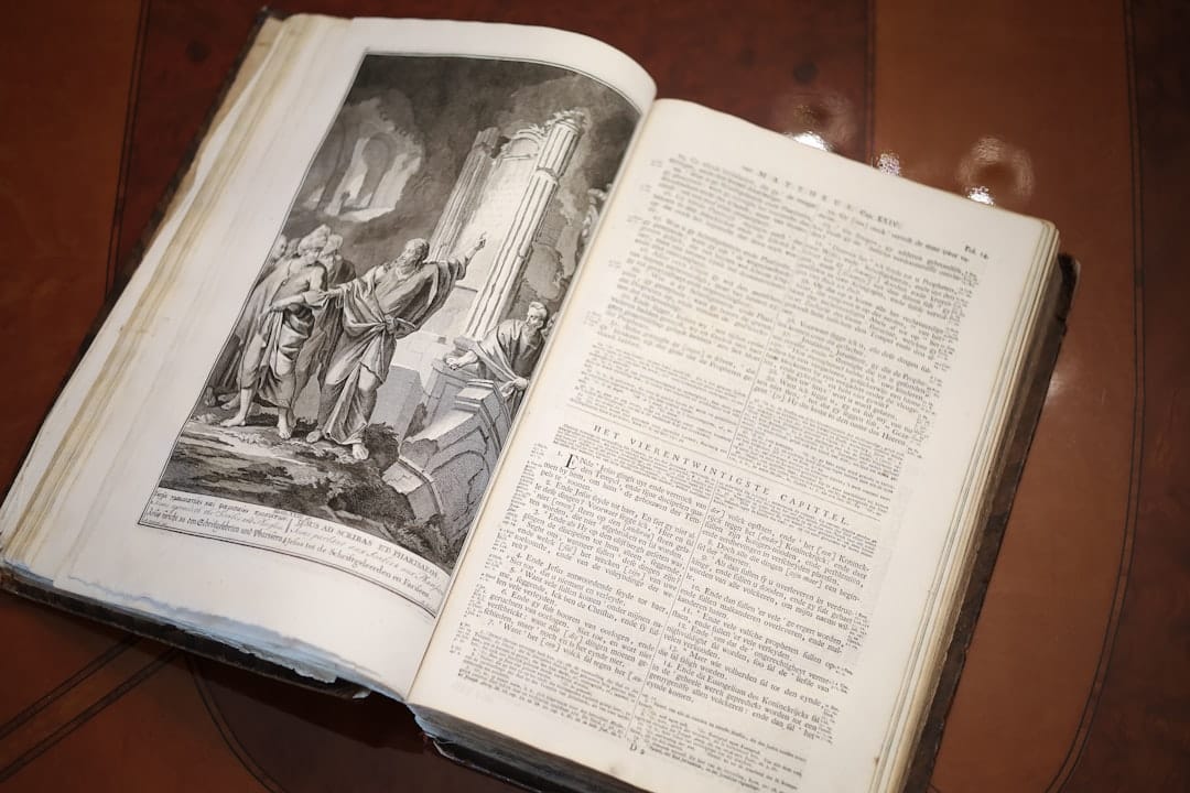 IA mais rápida: como o Codex agora responde em tempo real