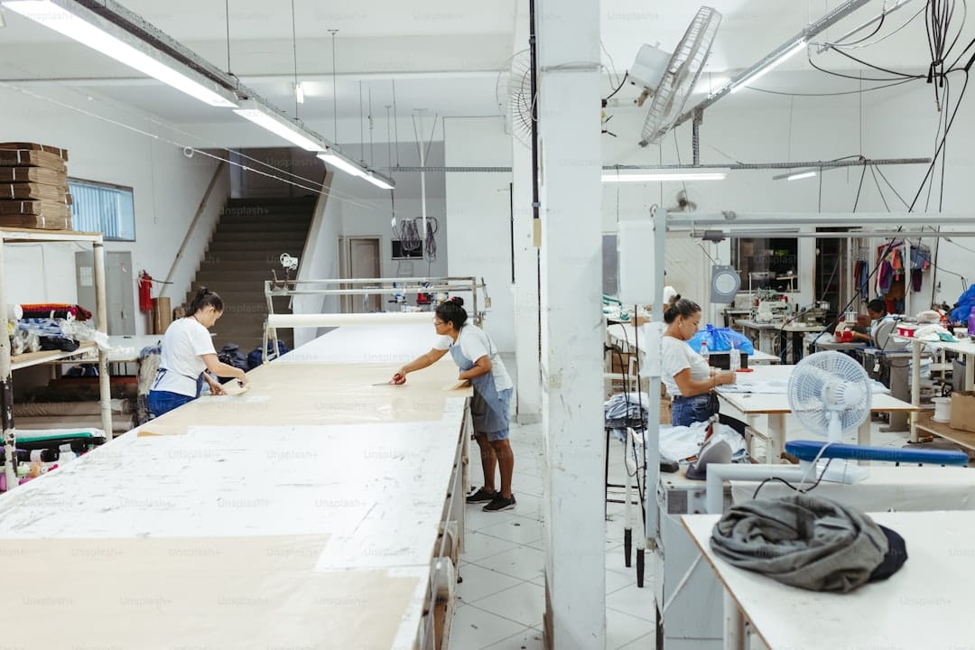 Nova Linha de Crédito: Impacto no Mercado de Trabalho