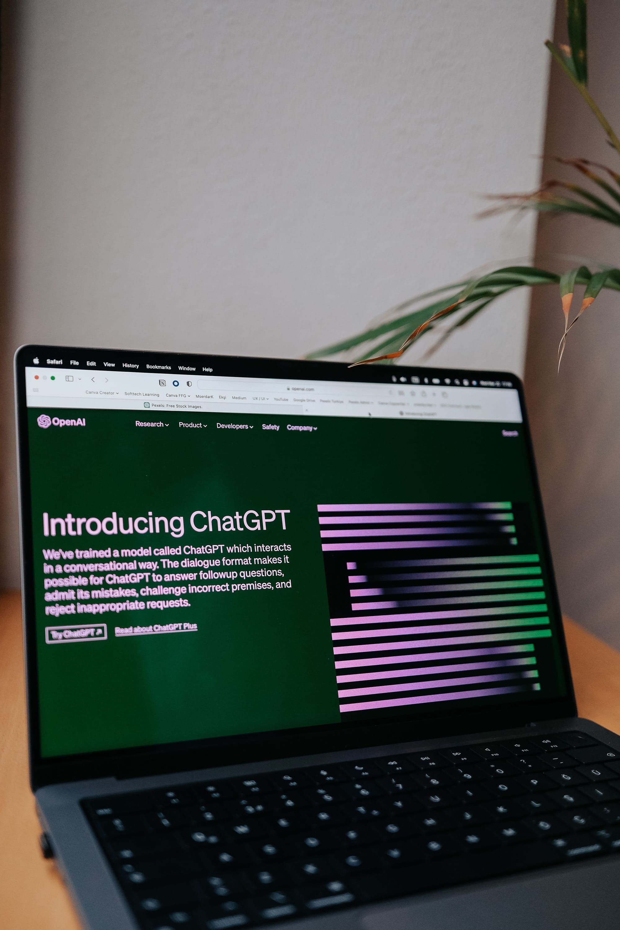 OpenAI agora adivinha sua idade no ChatGPT: como usar a proteção a seu favor
