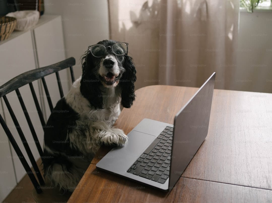 Cachorro com câncer vira startup: vacina criada com IA agora é empresa