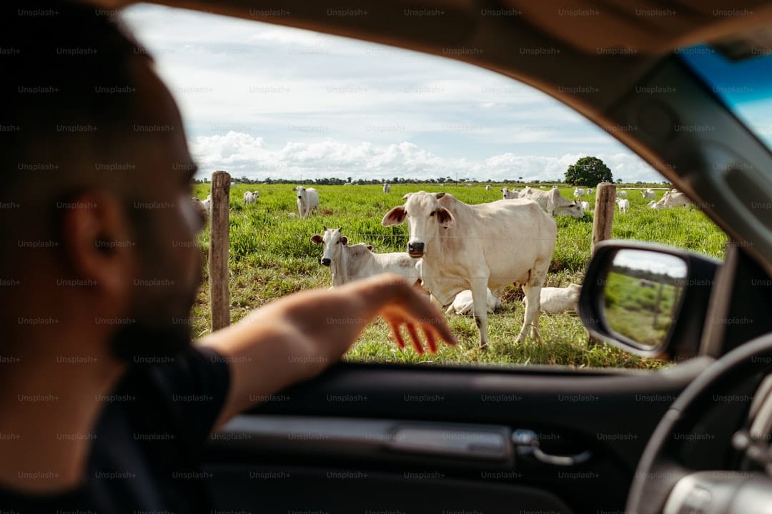 Novas regras da Flock: o que você precisa saber sobre vigilância de placas