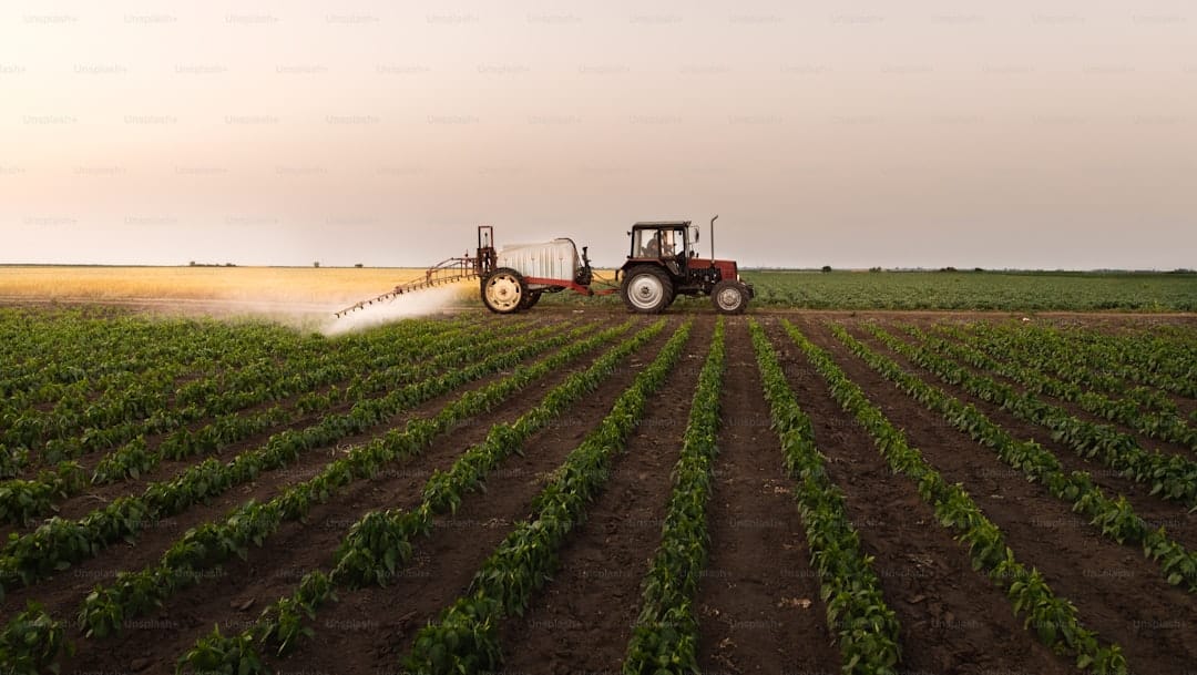 Micróbios modificados podem reduzir uso de fertilizantes na agricultura